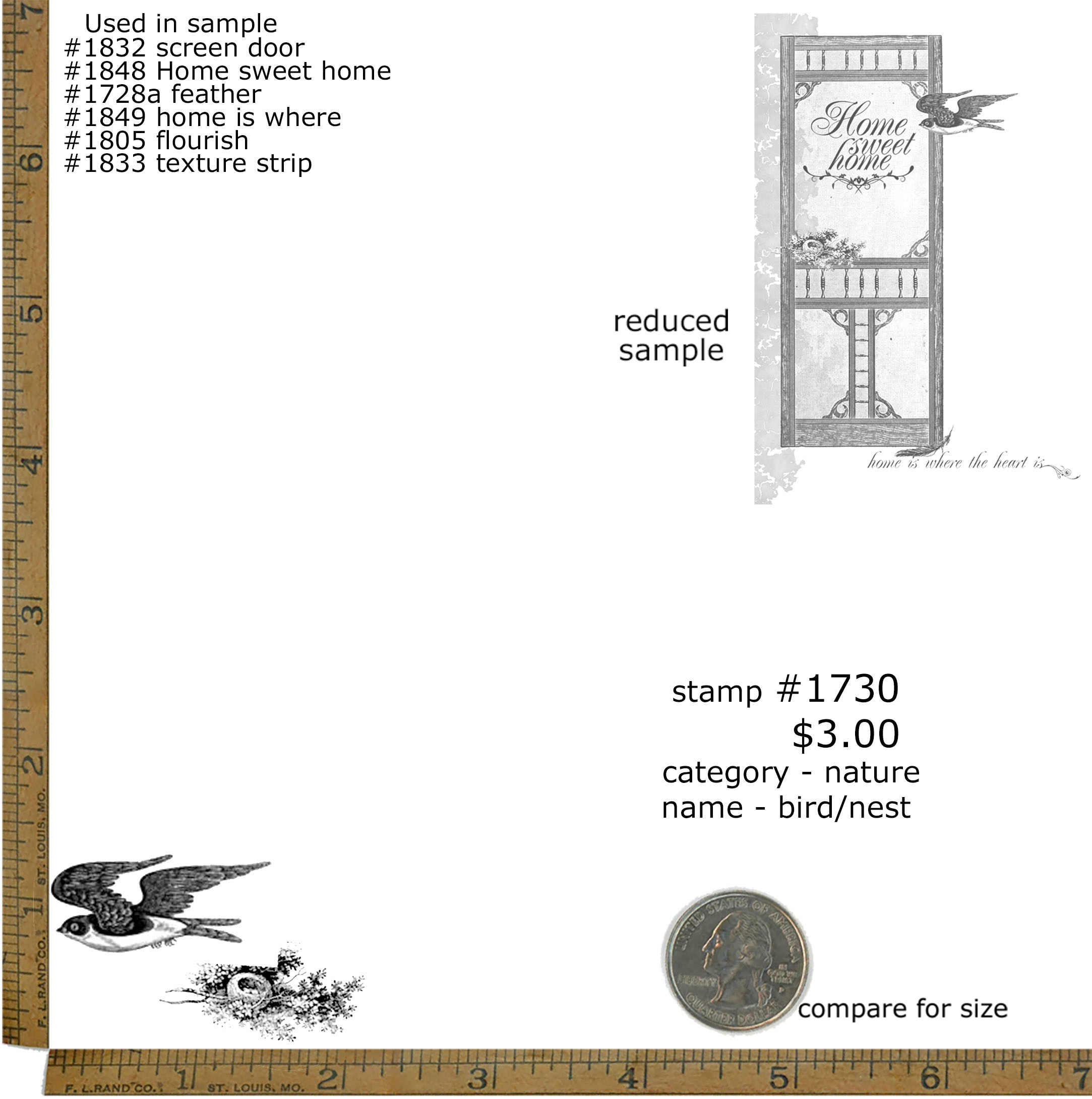 #1730 - Bird/Nest - Nature